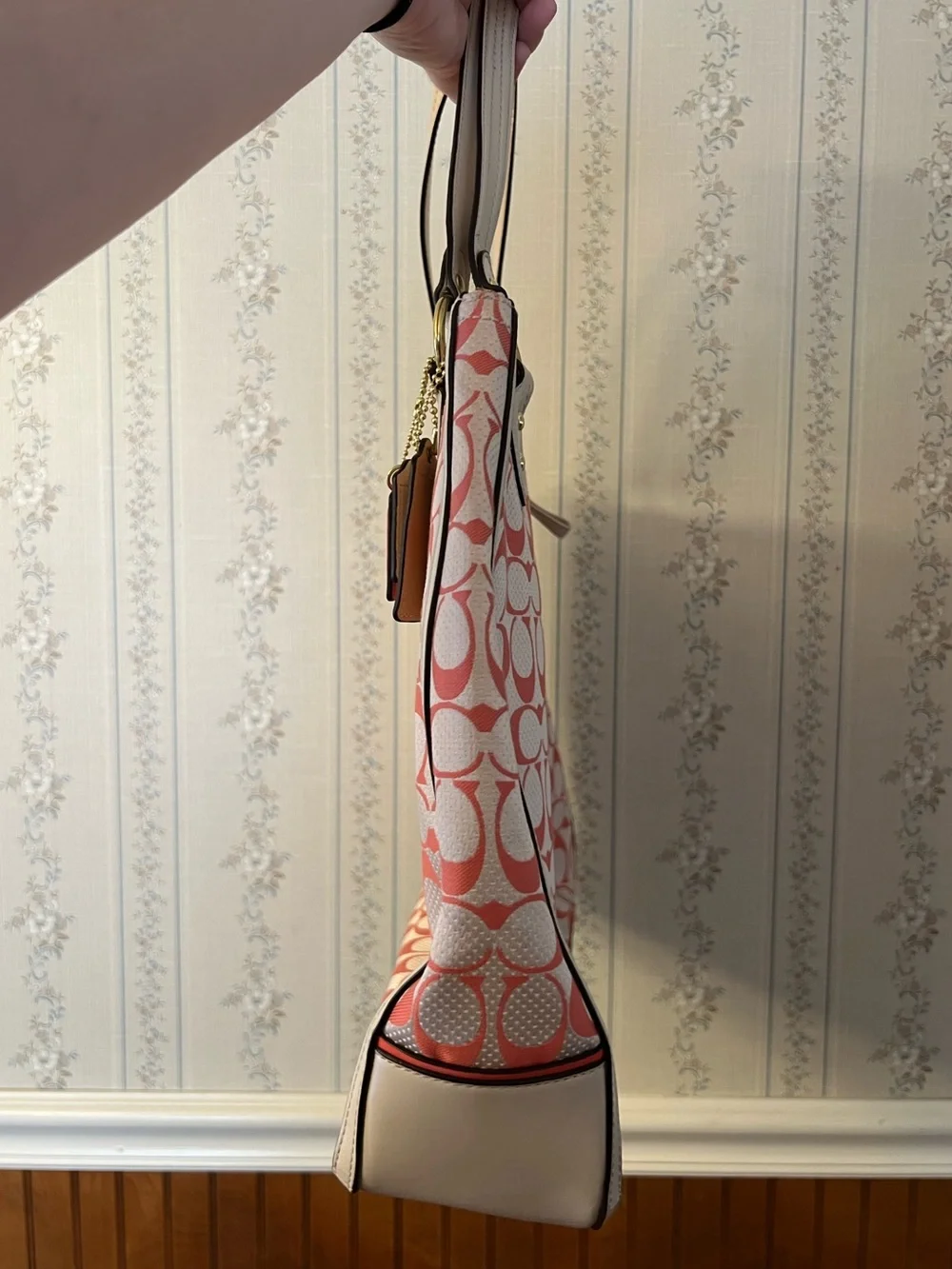 Coach Poppy Signature C Dot Hallie Tote